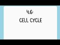 ✨AP Bio Topic 4.6 TikTok: Cell Cycle✨