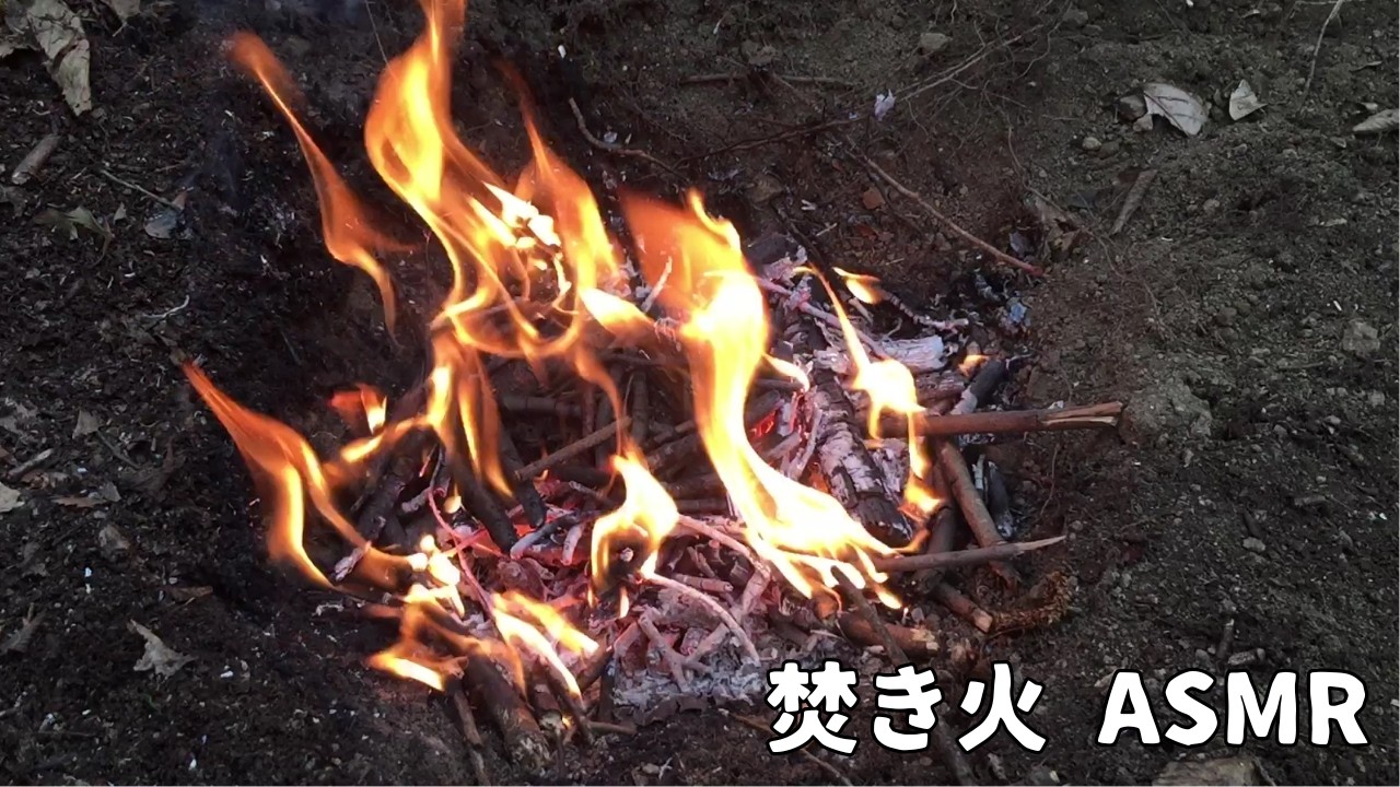 焚き火｜約10分のASMR（遠くの刈払機と飛行機、自然の生活音も一緒に）