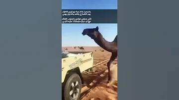 تصميم المجاهيم 