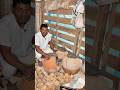 on the way to extinction the village lost that tradition of Bengal #viral #villgelifestyle