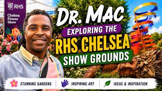 Exploring the RHS Chelsea Flower Show 2026 Showgrounds | Stunning Gardens, Art & Inspiration