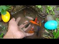 Find colorful ornamental fish, koi fish, goldfish, catfish, snakehead fish, betta fish, lobsters