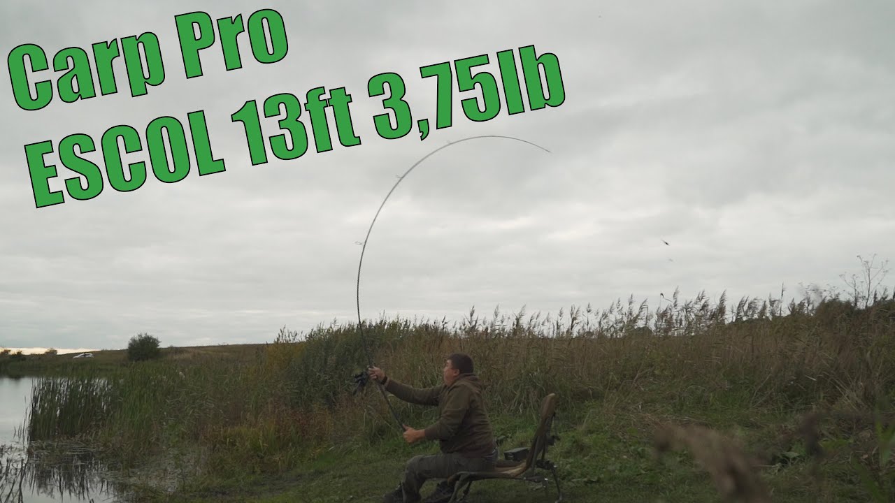 ЗАБРОС НА 130М СИДЯ! ПОЛНЫЙ ОБЗОР КАРПОВОГО УДИЛИЩА CARP PRO ESCOL!