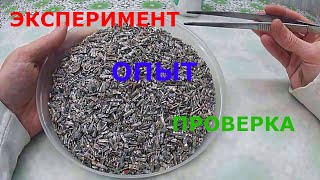 видео: Олова куча Меланж серебра где припоя гора картинка: Олова куча Меланж серебра где припоя гора