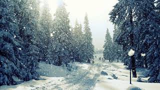 [Royalty free] Positive Emotion Instrumental Music - Christmas Song Resimi