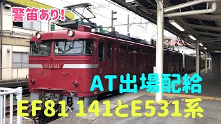 EF81 141とE531系　AT出場配給