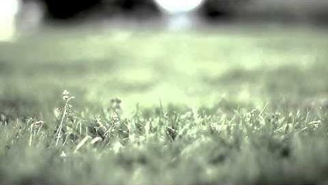 NERF - Capture the Flag