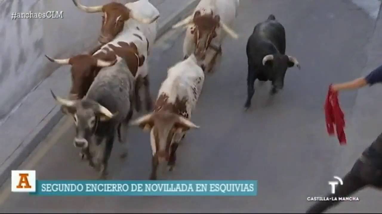 Encierros de Esquivias. Ancha es Castilla - La Mancha.