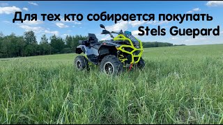 Видео для тех кто собирается приобрести Stels Guepard. Что из тюнинга установить + отзыв клиента.