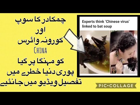 deadly-coronavirus-outbreak-||-wuhan-china-detailed-explained-in-urdu-|-hindi