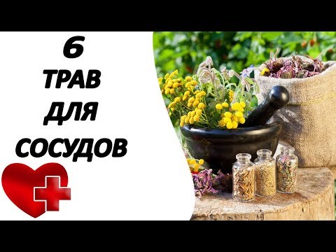 6 полезных трав для здоровья ваших сосудов
