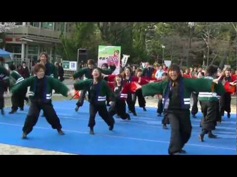「四天王寺大学　仏喜踊」　京都さくらよさこい2012　岡崎都市公園