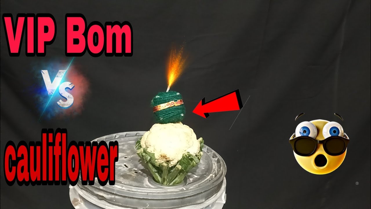 क्या होगा अगर VIP BOM को फूलगोभी के ऊपर लगा दे तो ☠️‎‎