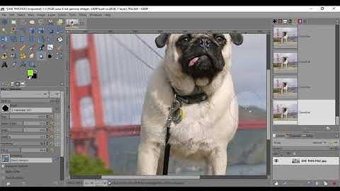 How to GimpShop-Tools-Blur and Sharpen Tools and Options