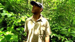 Sao Tome and Principe, the Lost Islands of Africa by Show Me the World 9,158 views 2 months ago 52 minutes