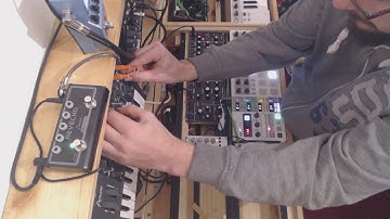 Jam session with Model D, Tip Top 909 Kick/clap and Microbrute