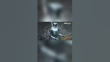 Deep Robotics DR02 - Waterproof Humanoid Robot #humanoidrobot