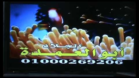 @القارئ الشيخ فتحى المليجى سوره  الاحقاف روعه روعه رووووووووووووعه اوعى تفوتك احجزمكانك للجنه