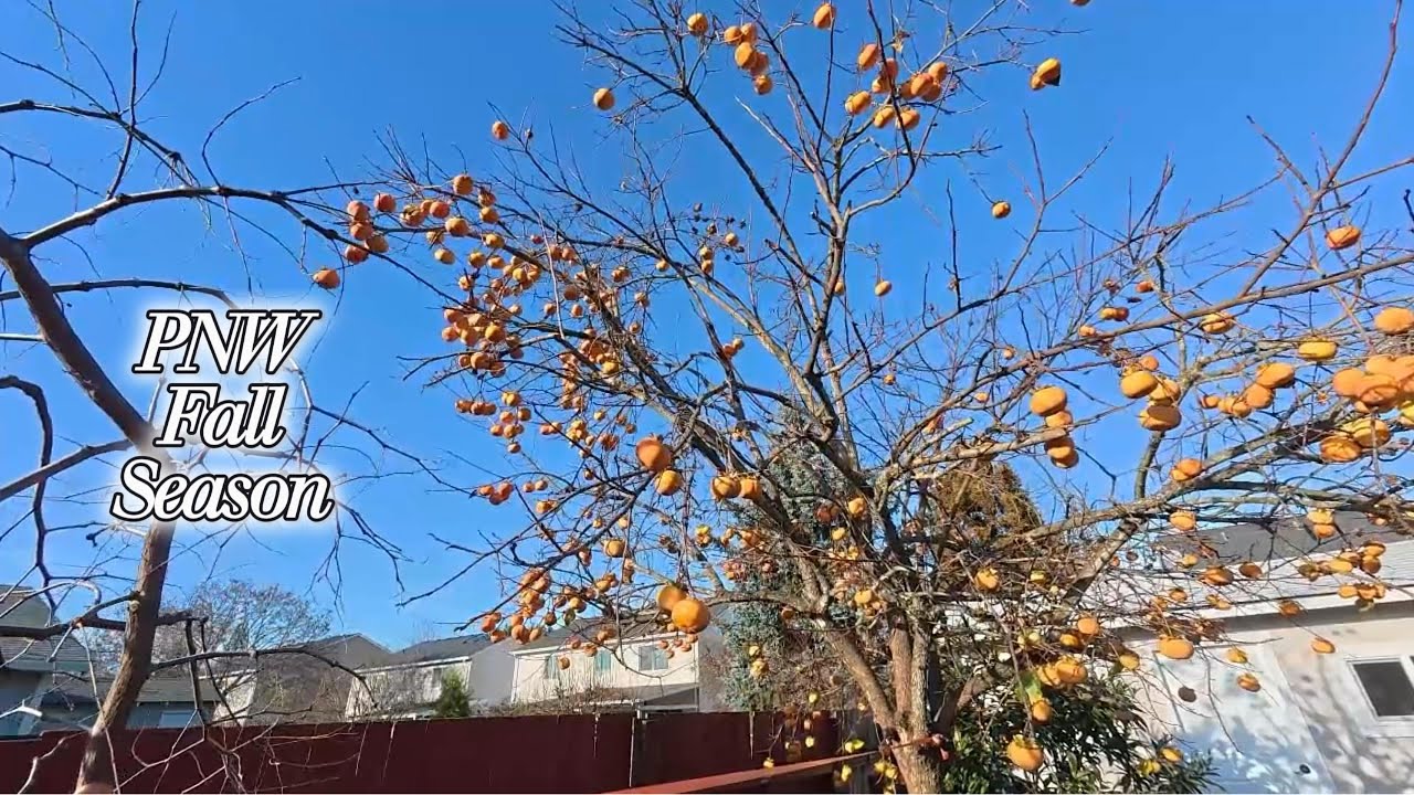 PNW Fall Season Yard Work 