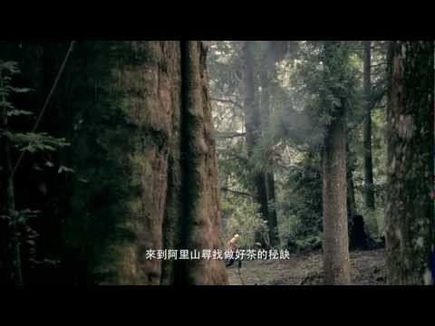 茶裏王-阿里山烏龍茶