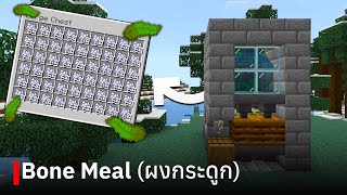 สอนสร้างฟาร์ม Bone Meal (Kelp) ใน Minecraft Bedrock Edition 1.20