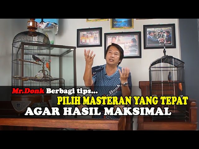 Mr.Donk | Tips Memilih Masteran Yang Tepat Agar Hasil Maksimal class=