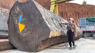 Dangerous Way To Cut Wood With Giant Chainsaw // Wood Cutting Skills