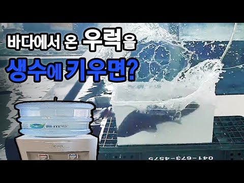 바다 생선을 민물에 넣으면 살 수 있을까?