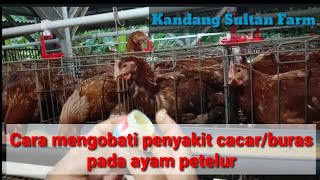 Akap Rita Yulian H∆mil Anak Ferdy S❗Satu Persatu Simpanan Sambo Menggugat Lakukan Ini‼️ Brigadir J. 