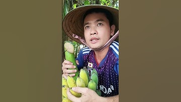 Tình làng nghĩa xóm mà có chuối ăn cũng kệ