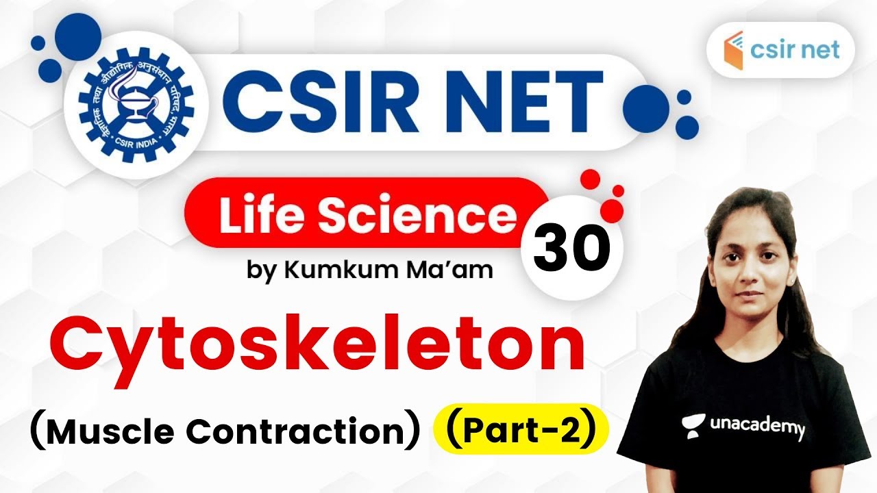 04:00 PM - CSIR UGC NET 2020 | Life Science by Kumkum Ma'am | Cytoskeleton (Muscle Contraction)