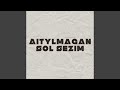 Aitylmagan Sol Sezim