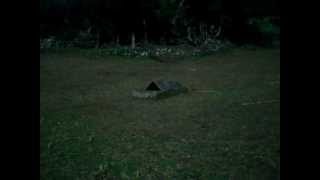 MPEG0015