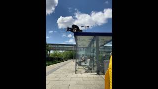 Nächste Station, Handstand 😁 #training #handstandworkout #calisthenics #motivation #hspu #station