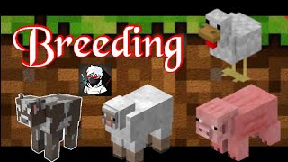 Minecraft Animals Breeding How to breed (cow,sheep,pig and chicken) Minecraft Animals Breeding How to breed (cow,sheep,pig and chicken)