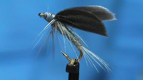 Beginner Fly Tying a Wet Blue Dun with Jim Misiura