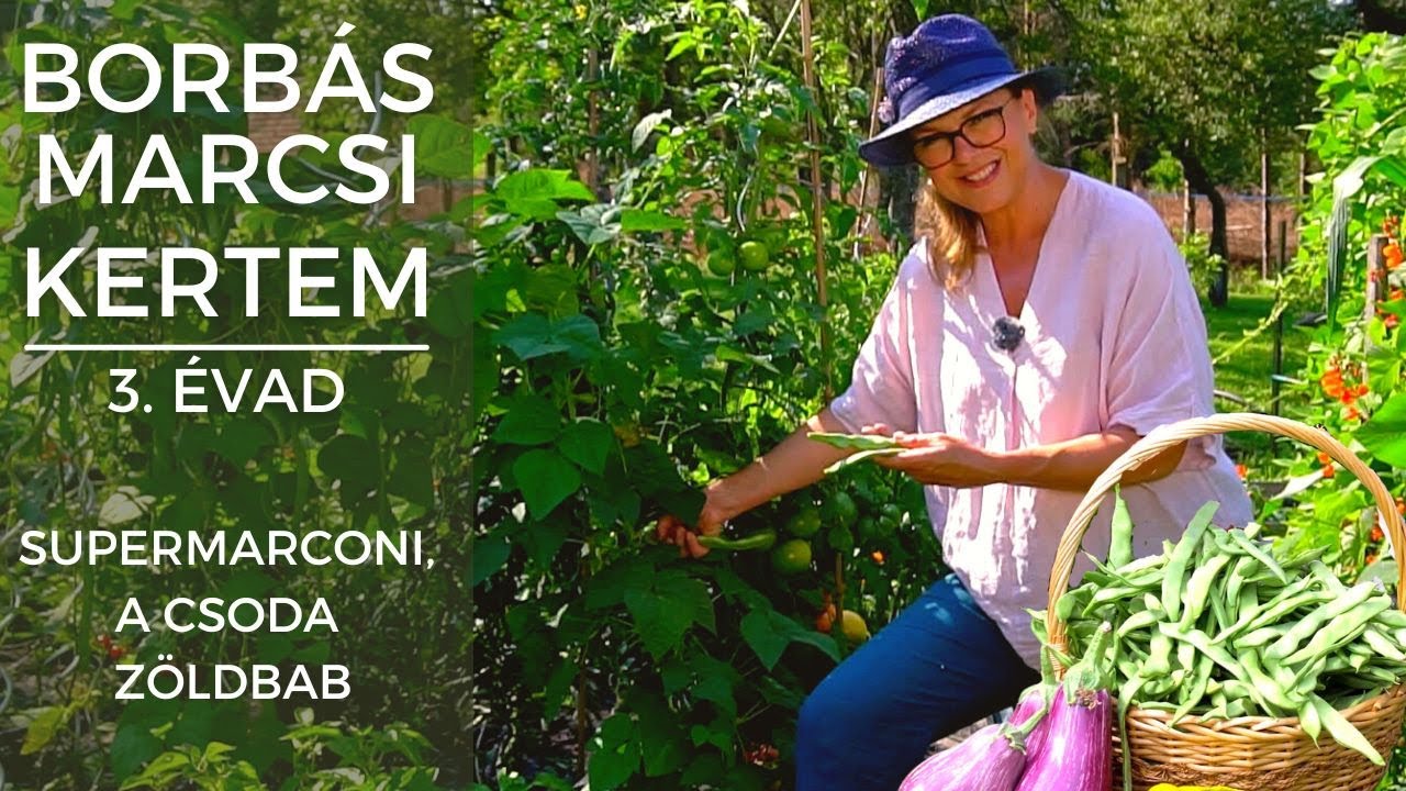 Borbás Marcsi - Kertem: Supermarconi, a csoda zöldbab
