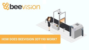 How does BeeVision 190 Dimensioning Weighing Scanning work?
