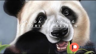 Panda 1 HOUR RELAXING PASTEL VIDEO #pasteltutorial #beginnerartists #pastelart #relaxing #art