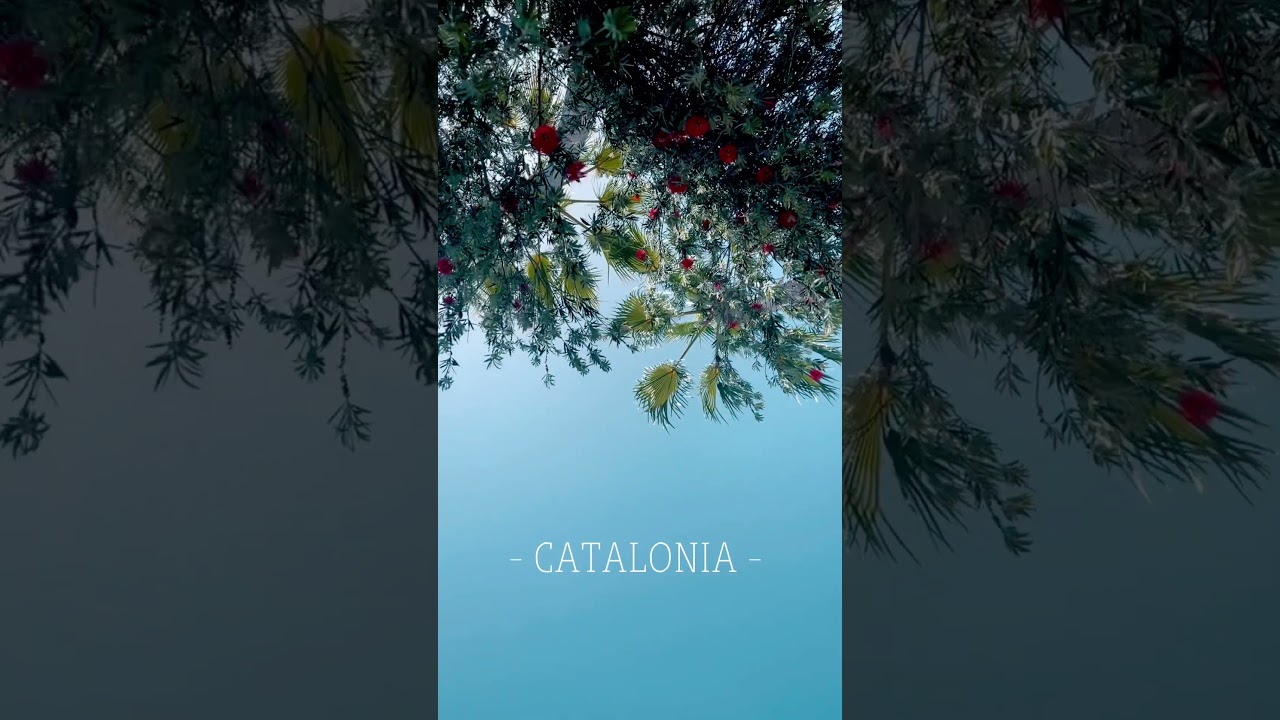 Serenity in Catalonia ♥️🇪🇸 