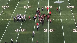 Freddie Kitchens runs on the field one game before being Fired