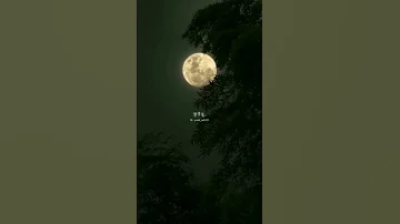 Tik Tik Vajate Dokyat Reverd Song Lofi Song Marathisong Lovestatus Whatsapp Status Feeling 