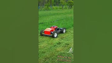 Robot cắt cỏ chạy điện kèm điều khiển từ xa #o348233oo6 #thapxanh #catco #sangolf #xuhuong #reels