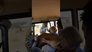 Download Lagu De LUIPAARD was heel dichtbij... Maar er gebeurde iets vreemds! MP3