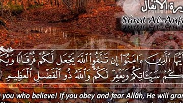 سورة الأنفال ماهر المعيقلي   Surat Al Anfal Maher Al Muaiqly