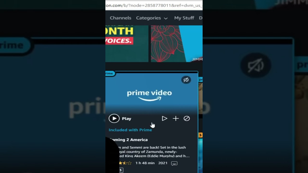 OBS Netflix Amazon Disney+ Videos Blocked Showing Black Screen While Recording?  Easy Helpful Fix!