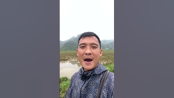 Cách Giải Độc khi bị Ăn Nấm độc bạn nên biết #covenduongvlogs #caycomui #phunu #caybuttre #câythuoc