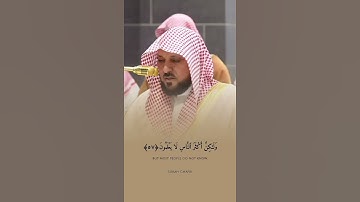 تلاوة مباركة خاشعة بصوت يلامس القلوب #اكسبلور #المصحف #حالات_واتس #القران #خطبه #لايك #تيك_توك