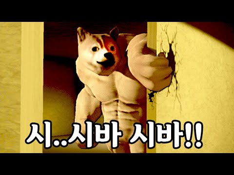 <strong>백룸에서</strong> 발견된 &amp;quot;근육 시바견 &amp;quot;