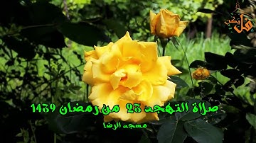 فليكنTV (المقرئ محمد المهادنة) )(تلاوة  برواية ورش صلاة التهجد لليوم الثالث والعشرين من رمضان  1439)